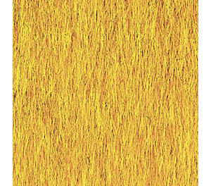 Rental Carpet - Image 3