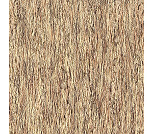 Rental Carpet - Image 8